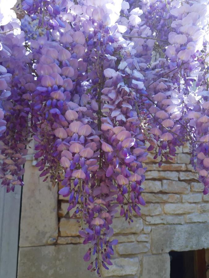 Wisteria Cottage Les Adjots Exterior foto